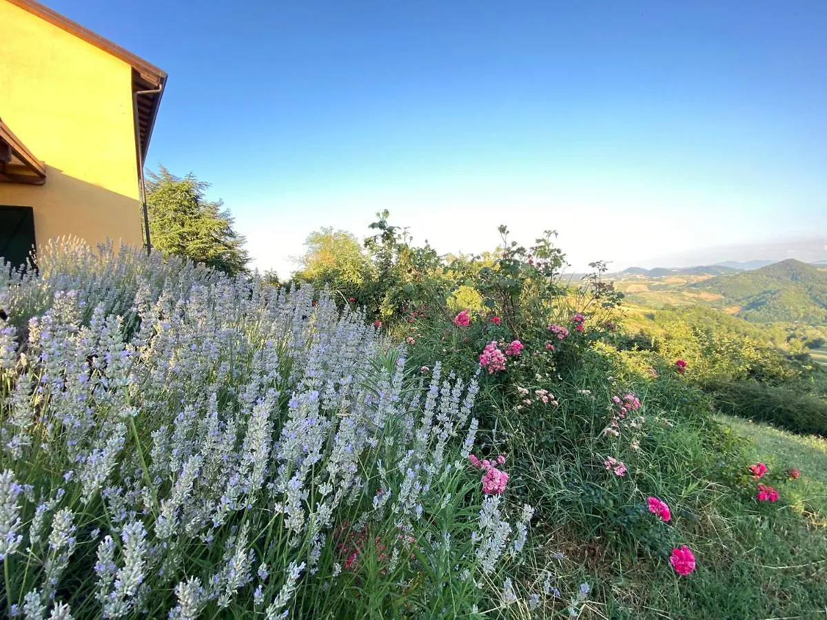 Case Crovina Salsomaggiore Terme